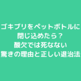 ゴキブリをペットボトルに閉じ込めたら？酸欠では死なない驚きの理由と正しい退治法