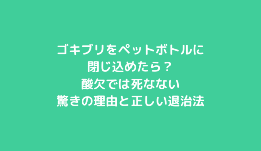 ゴキブリをペットボトルに閉じ込めたら？酸欠では死なない驚きの理由と正しい退治法