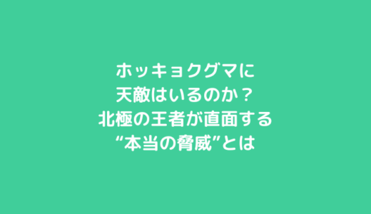ホッキョクグマに天敵はいるのか？北極の王者が直面する“本当の脅威”とは